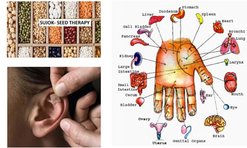 Formation courte de Sujok Thérapie